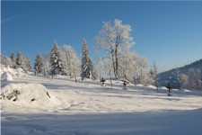 04.jpg