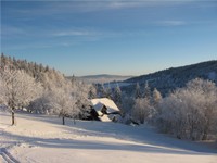 08.jpg